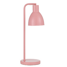 Pivot Iron Gooseneck Desk Lamp